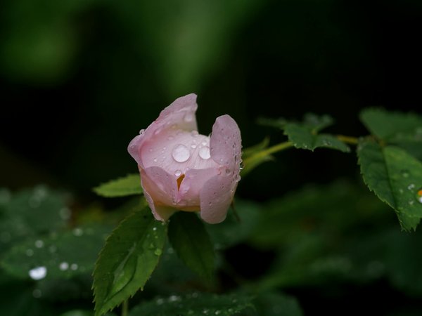 Bien immobilier neuf ou ancien : Que choisir ?