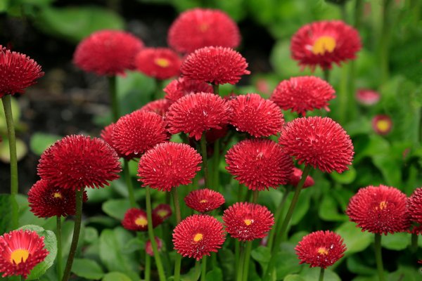 Accessoires pour petits espaces : nos conseils pour bien les choisir