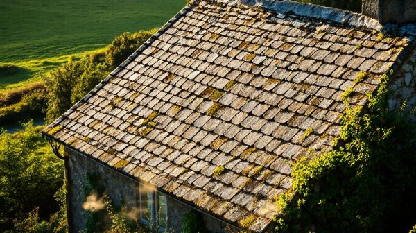 Les meilleures solutions de rénovation de toiture en Bretagne avec Breizh Toit